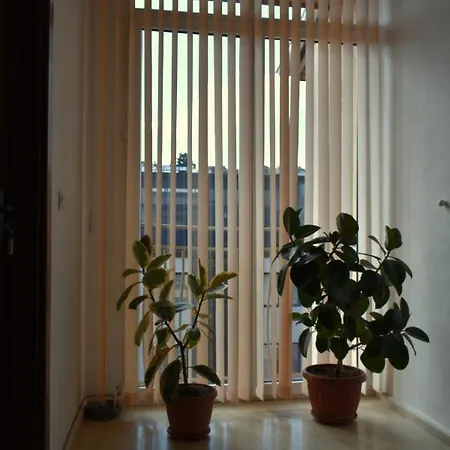 Guest House Pensiune *